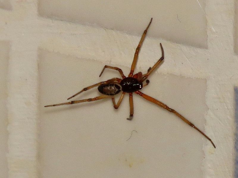 8227976986_99ecaf3021_c.jpg