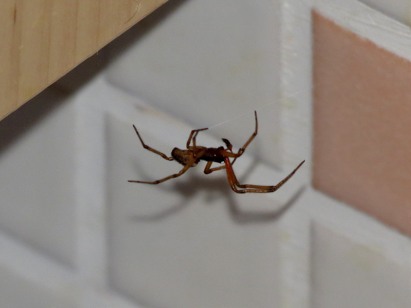 8227978376_dc5a5e5042_c.jpg