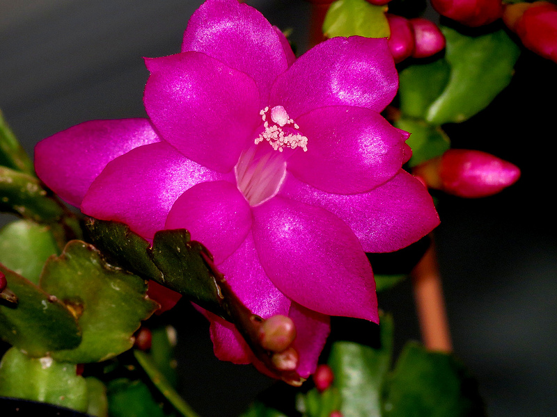 8227984198_28f5c665d4_c.jpg