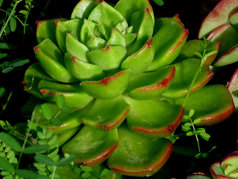 8229937834_d165f9d2db_c.jpg