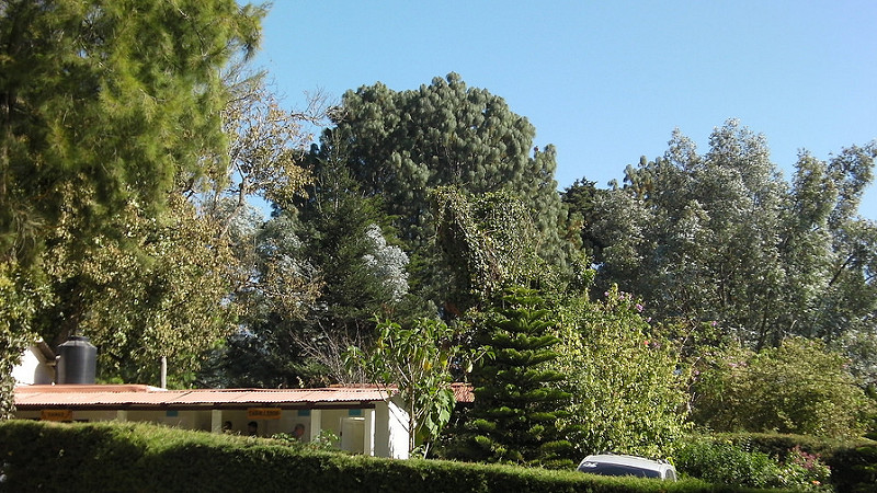 8265296657_9e8bcc25fa_c.jpg
