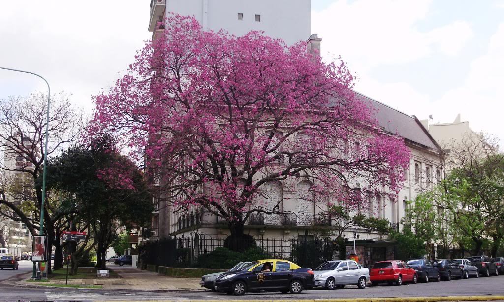 82f3c59deb_PA050166.jpg