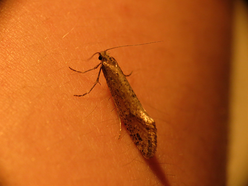 8307976828_ed5cb2ddb1_c.jpg
