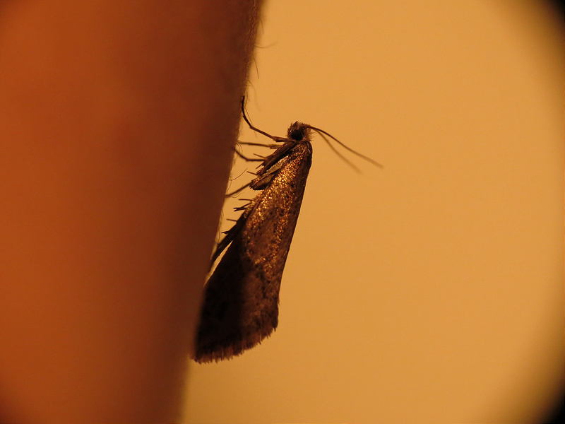 8307977784_302a1baabb_c.jpg