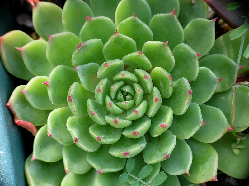 8401155527_6983180e8e_c.jpg