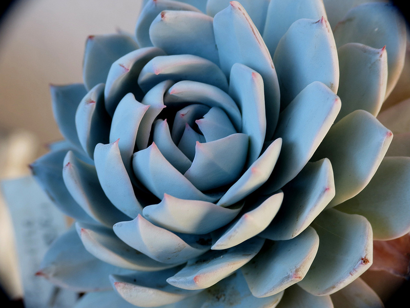 8432868768_026b127d36_c.jpg