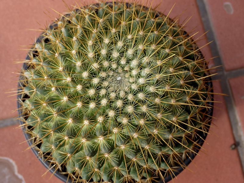 8460504181_7ae41b76aa_c.jpg