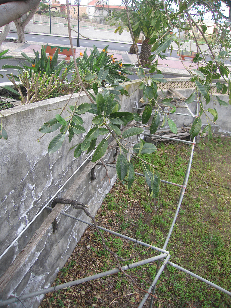 8501549458_dde13e52dc_b.jpg