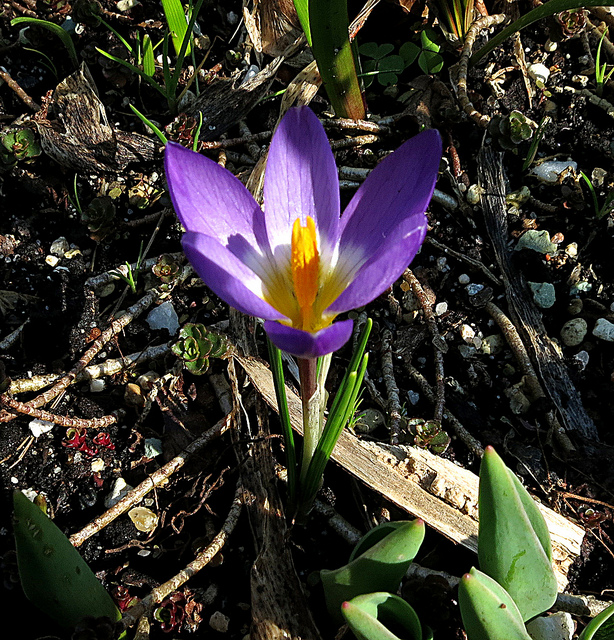 8514480268_1be756bebc_z.jpg