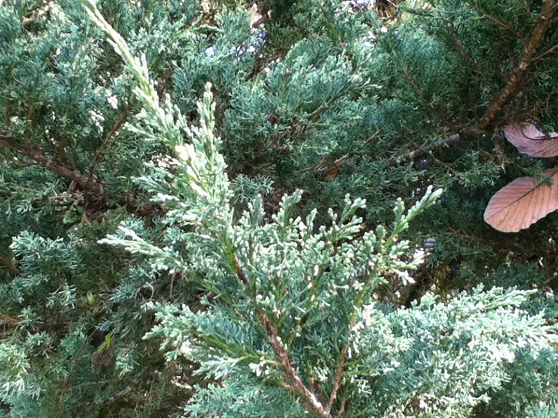 8516687934_b3821efdf5_c.jpg