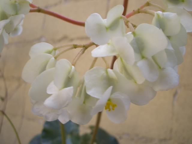 852a62f3.jpg