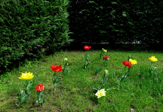 8571477213_de5a41cc0a_z.jpg