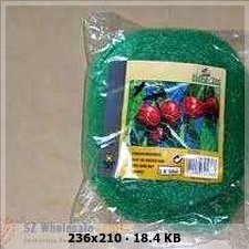857a3c0f890cc620470cb149329707feo.jpg