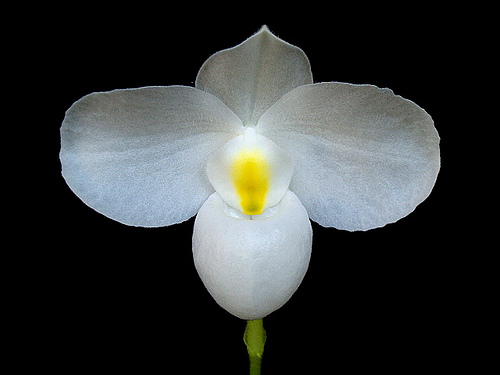 8588048409_8e3911bcd7.jpg
