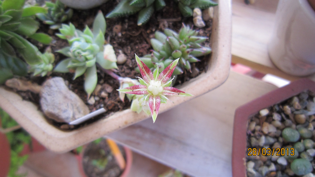 8597246453_0320c11c13_b.jpg