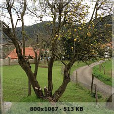 86207cf1a2383f5cc11e3a0ded56eda7o.jpg