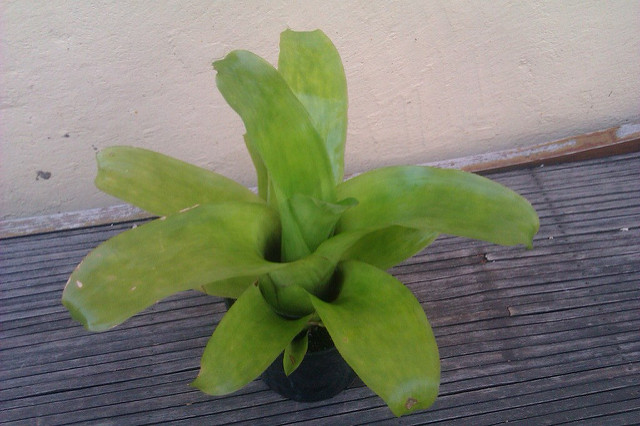 8638019081_bb333f2120_z.jpg