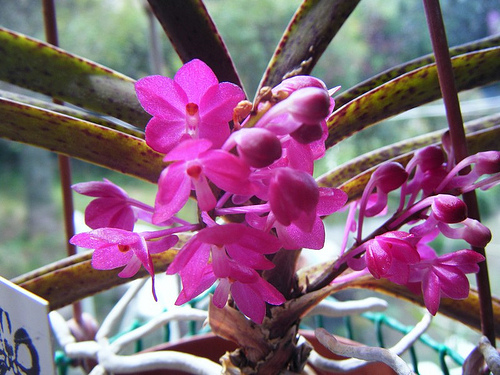 8688659176_7bc41a7e14.jpg