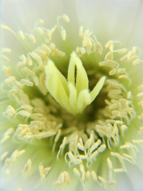 869416250_eba1226776_o.jpg