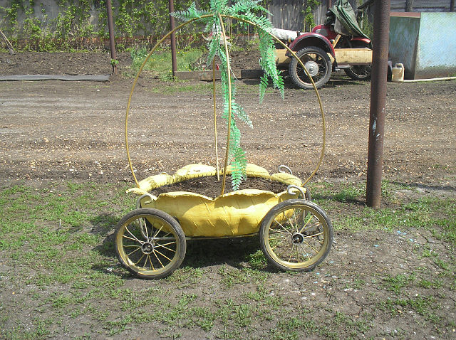 87314874_large_kareta.jpg