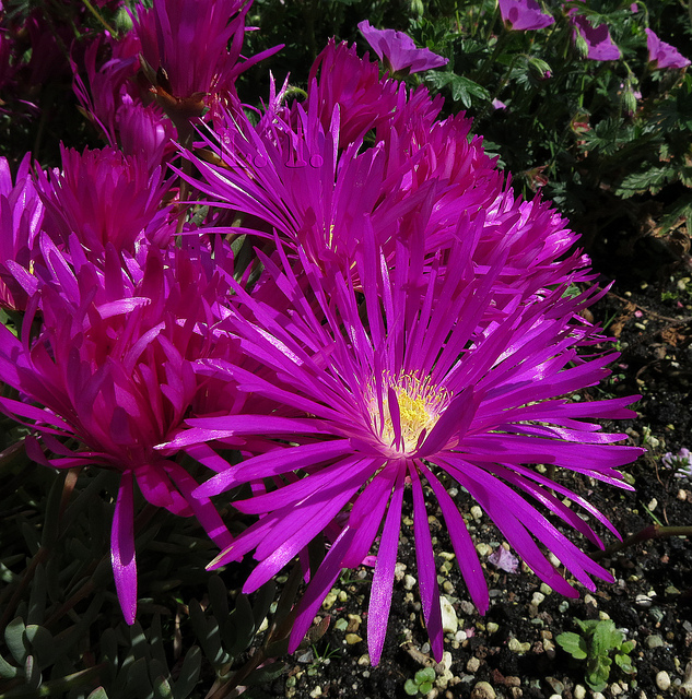 8755455490_c773761875_z.jpg