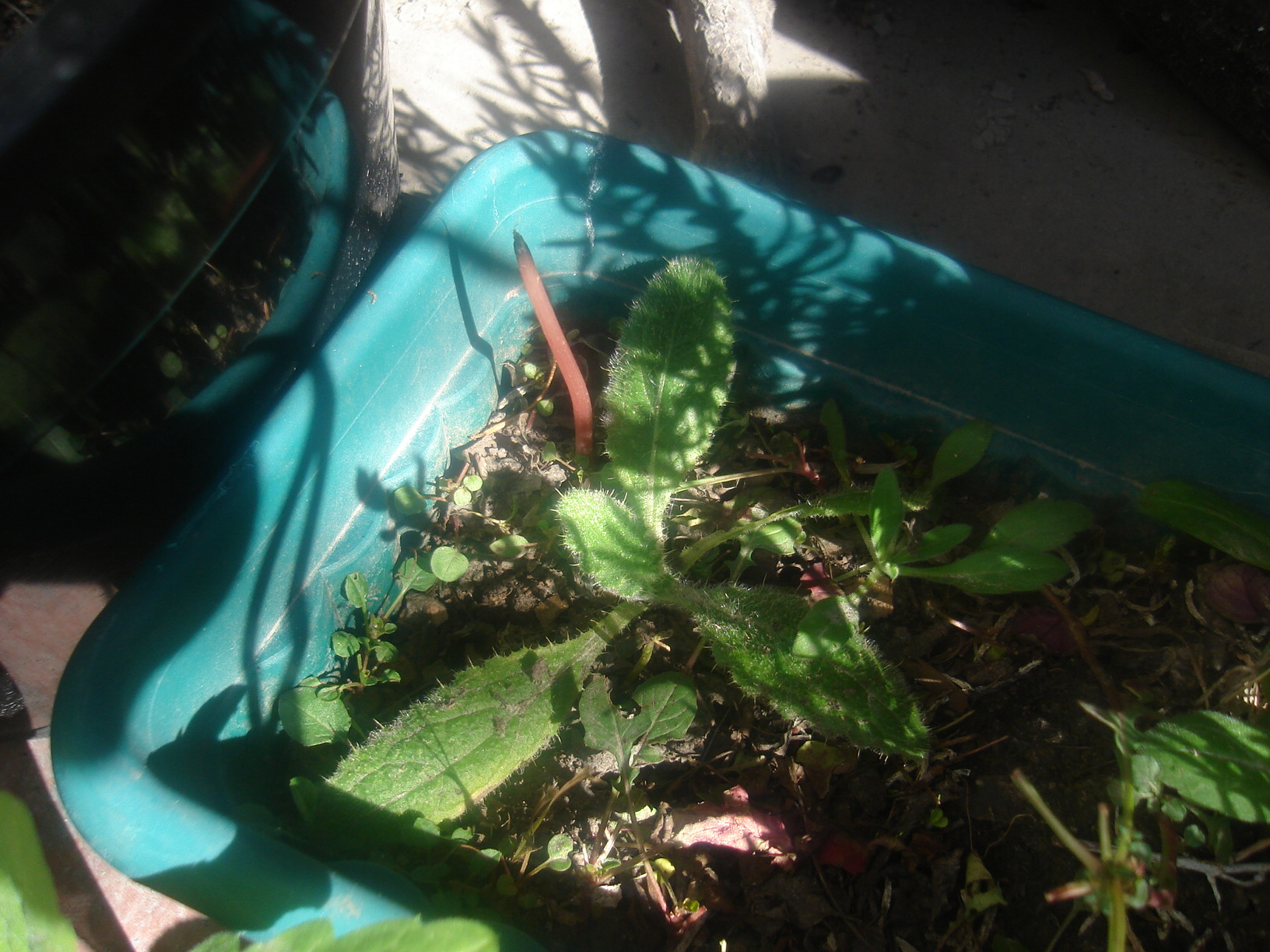 880108dsc00666.jpg