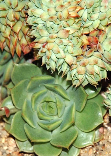 8803672118_267c7459c8_z.jpg