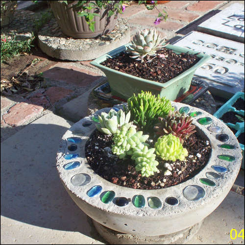 88823074_SelectPlantsAndAddToPlanter.jpg