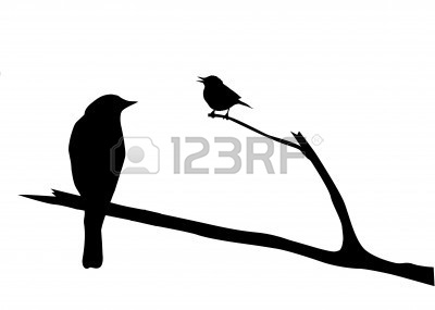 8922507-silueta-vector-del-ave-en-rama.jpg