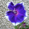 893640_tn.jpg