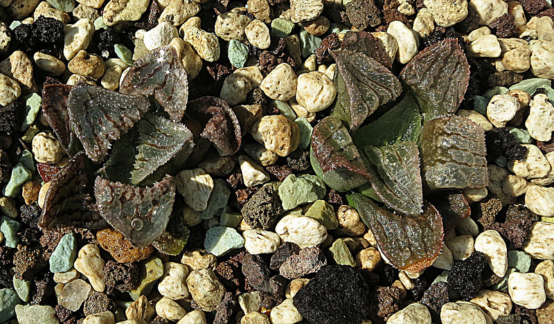 8964352848_abab38cf09_c.jpg