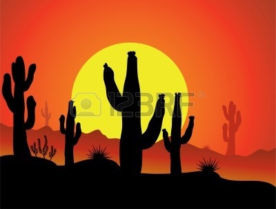 8977683-cactus-de-vectores-en-el-desierto-al-amanecer-o-al-atardecer.jpg