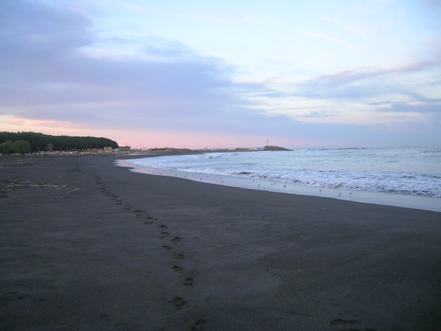 8_febrero_07_026.jpg