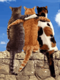 8a0d975b.gif
