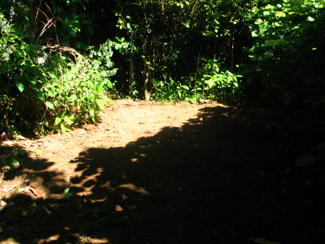 8a8e6124d78f7b8facb15e234a74b8ddo.jpg