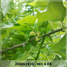 8b9fff8969f3909872bb44057e45f3e2o.jpg