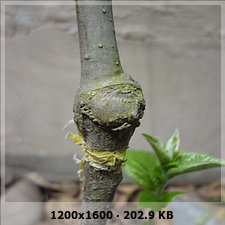8c5865b4f89514ed7c6d8c8fcd5a1667o.jpg