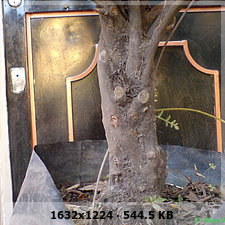 8d6705531de580417f780da60bfee702o.jpg