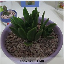 8f120e96ac9c33f3d74ef7ac70d0dff3o.jpg