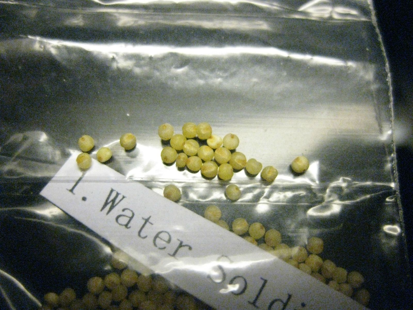 8ic8iKP.jpg