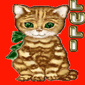 8z2n4l.gif