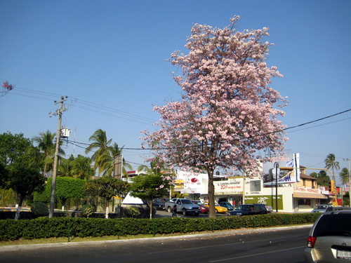 9011979.jpg