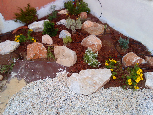 9095d1276418260-pequenos-grandes-cambios-dsc00498.jpg