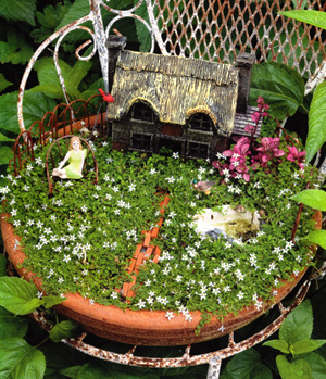 90_11119-fairy-gardens.jpg