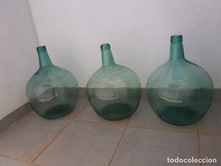 91505925.jpg