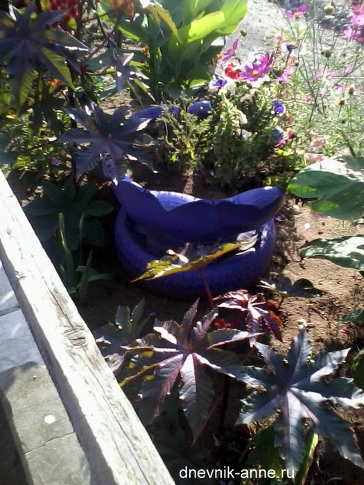 91794480_Foto0011.jpg