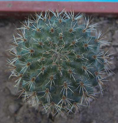 91810688_179219367d_o.jpg