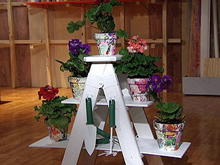 9195_jardin_en_escalera.jpg