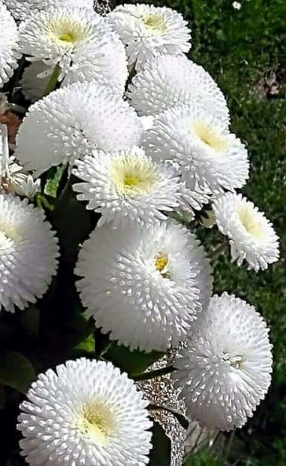91cb4ec88d0eedf295f853bc01c9214f.jpg