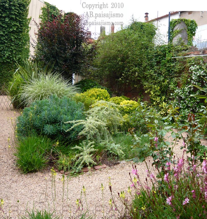 9202d1276613917-el-jardin-de-la-parroquia-panoramica-49-50-zona-euphorbia-claritab.jpg